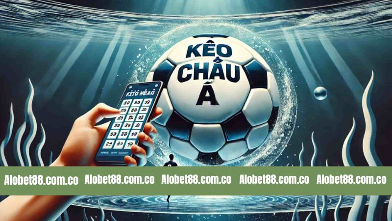 Khám phá một số hình thức cược được ưa chuộng hàng đầu